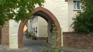 preview picture of video 'Schifferstadt Wörth am Main'