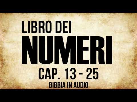 04 - Libro dei Numeri - PARTE 2 (BIBBIA ITALIANA IN AUDIO)