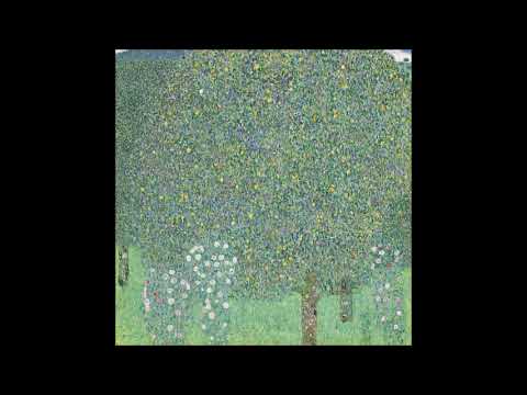 (1913) Julius SPINDLER (Fl) and Anthony Giammatteo Play G. Donizetti's "Maria Padilla (Selections)"