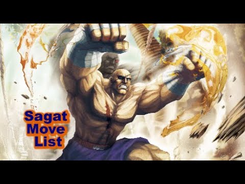 Sagat Move List Street Fighter X Tekken