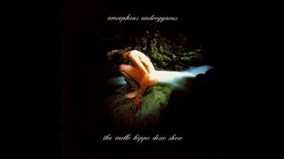 Amorphous Androgynous - The Mello Hippo Disco Show 2002