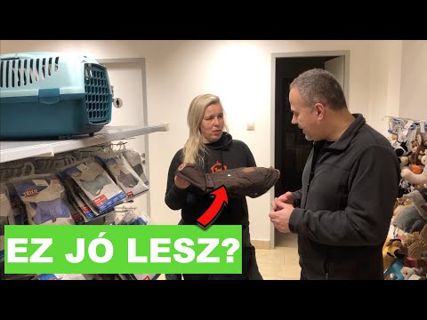 az aszcaris lokalizációja a testben