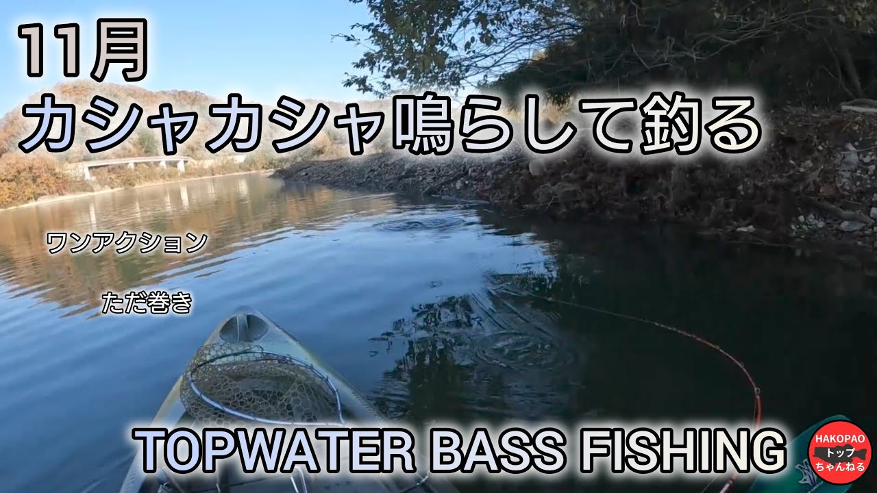 マグチューオンリー釣行記【バス釣り】