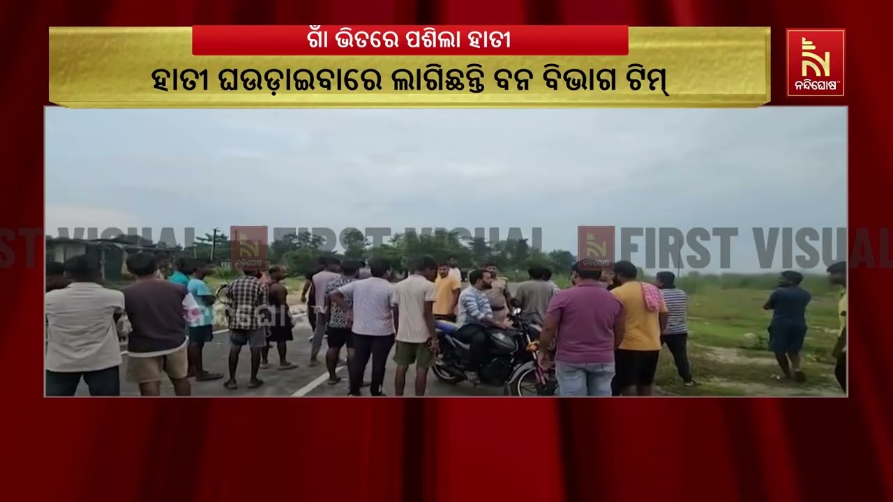 ଆନନ୍ଦପୁର ବ୍ୟାରେଜ ନିକଟରେ ଥିବା କୁମୁଣିଆ ଗାଁରେ ବୁଲୁଛି ଦ?
