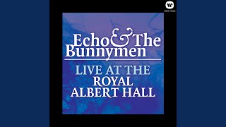 All My Colours (Zimbo) (Live at Royal Albert Hall 1984)