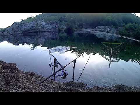 Extreme carp run - Almost lost my rod!