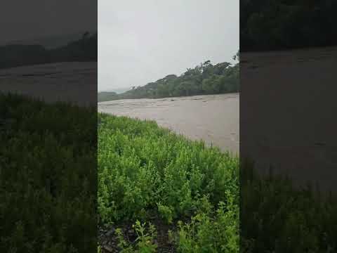 Residents in Bath St Thomas forced to evacuate following heavy rains