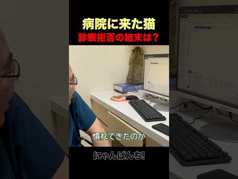 診察拒否の猫、最後はどうなる？w