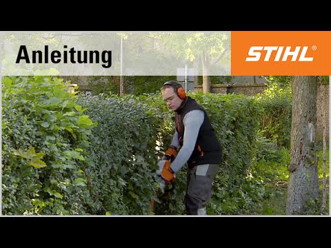 Schnitt-Technik Benzin-Heckenschere: senkrechter Schnitt mit der STIHL HS 56 C-E