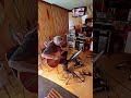 Marty Willson-Piper in the studio, working on a new Salim Nourallah band album.