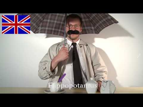 Wörter i  verschiedenen Sprachen