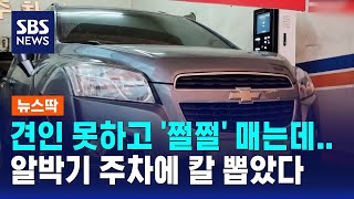 견인 못하고 '쩔쩔' 매는데..알박기 주차에 칼 뽑았다 / SBS / 뉴스딱