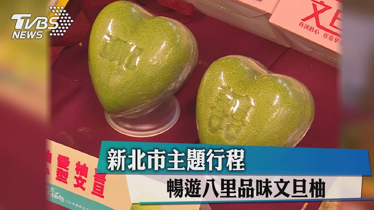 新北市主題行程 暢遊八里品味文旦柚