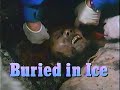Buried In Ice 1988