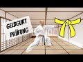 Werde Karate Meister 2 10 Gelbgurt Shotokan Prüfungsprogramm Kihon 8 Kyu DKV