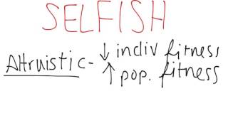 Social Behavior of Animals