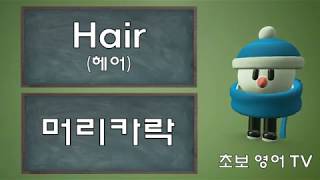 영어단어 (신체부위)