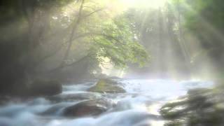 Jeannine Anderson - Great Is Thy Faithfulness