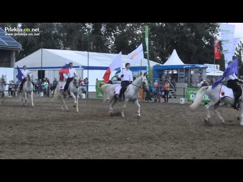 Nastop Lipicancev na 53. Kmetijsko-živilskem sejmu AGRA