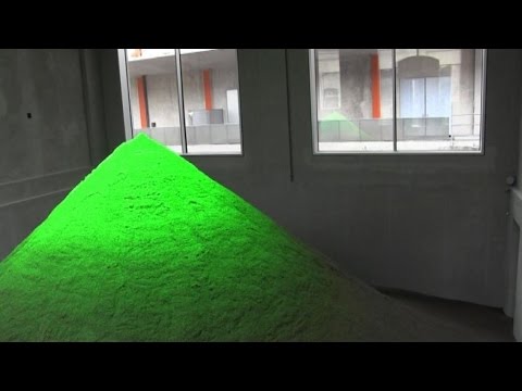 Ho lyambliya in un fegato Registri sintomi di verme