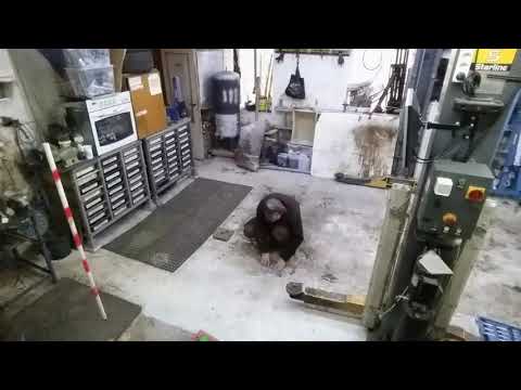 Applying anti-rust paint Chelade on the bottom of the car * short cut 181111