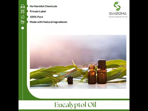 Eucalyptol Essential Oil