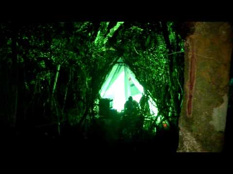 Magma Ohm - Floresta Amazônica