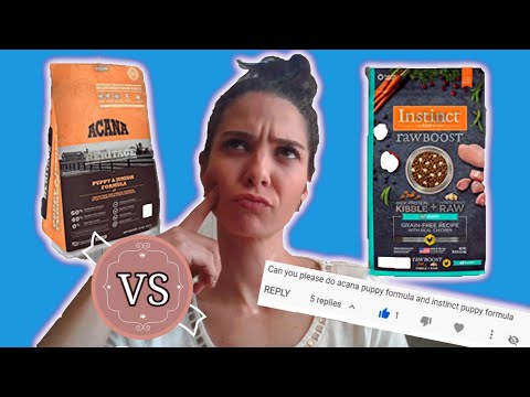 Acana Puppy and Junior formula vs Instinct Raw Boost Puppy (dog food review)