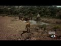Green Day - Boulevard of Broken Dreams (Dinosaur ...