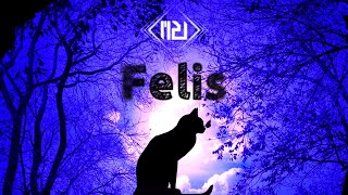 Cover art for Felis - {M2U}