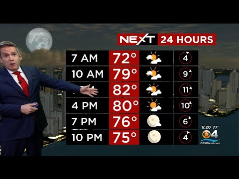 NEXT Weather - Miami + South Florida Forecast - Wednesday 12/7/22