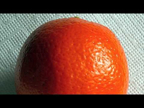 download lagu mp3 mp4 Oranges By Gary Soto, download lagu Oranges By Gary Soto gratis, unduh video klip Oranges By Gary Soto