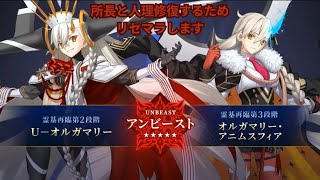 【FGO】所長と行く人理修復の旅　冬木７節～