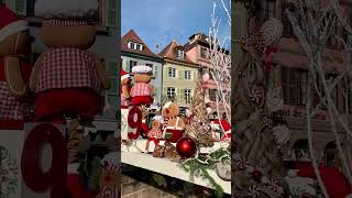 ハウルのモデルとなった街コルマール散策　#colmar #howlsmovingcastle #alsace #コルマール #アルザス #フランス #ハウルの動く城 #フランス旅行