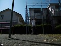 Reverse grip 20 Muscle ups+100 Push ups+16 Muscle ups マッスルアップ、腕立て伏せ