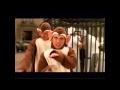 Bloodhound Gang - The Bad Touch (2014 Reloaded ...