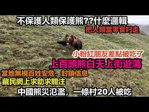 中國爆發熊災，白天上百隻熊上街遊蕩，藏民求助求關注，當地無視百姓安危，封鎖消息，老百姓出門都害怕，多名網友分享被熊追的經歷