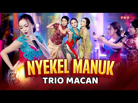 Trio Macan - Nyekel Manuk (Official Music Video)