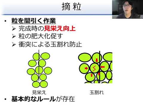 コンピュータ理工学科 安藤研究室