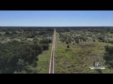 CAMPO EN VENTA EN FORMOSA | 8.263 HECTÁREAS SOBRE RUTA | LOS MORITOS