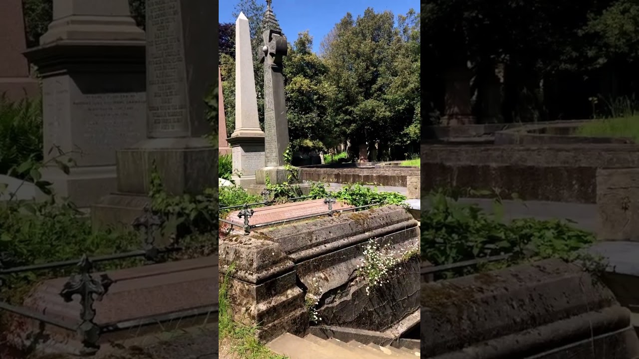 YouTube Short thumbnail