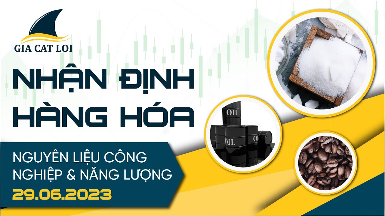 Nhận Định Thị Trường Năng Lượng & Nguyên Liệu Công Nghiệp Ngày 29/06/2023