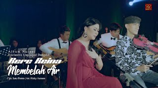 Download lagu Rere Reina - Membelah Air mp3