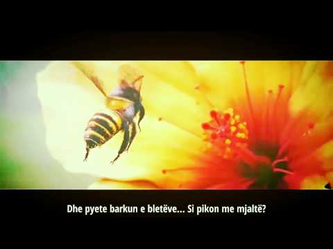 Mrekullitë e Allahut - Shpjegim interesant