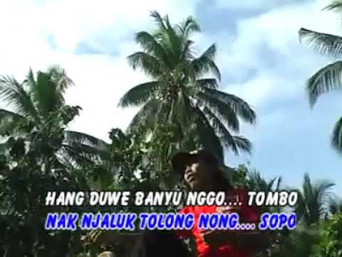Dhani Gumintang - Panase Ati (Official Music Video)