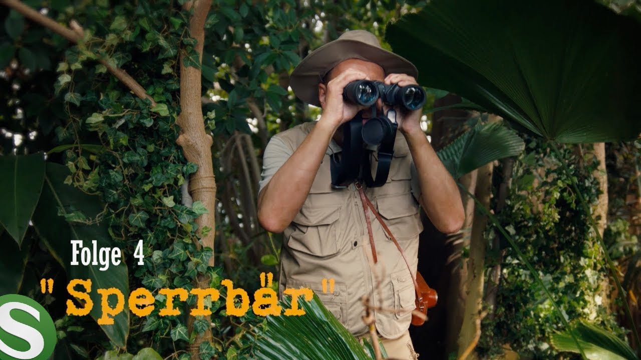 preview-image-ptujWuUOpgE