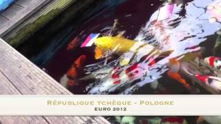 preview picture of video 'Après Paul le poulpe, Nounours ! Pronostics pour l'Euro 2012 (16/06) Aquiflor @ Beauvechain'