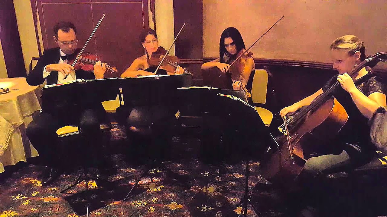 Hire Alexandra NYC Cellist and Strings String Trio in New York City