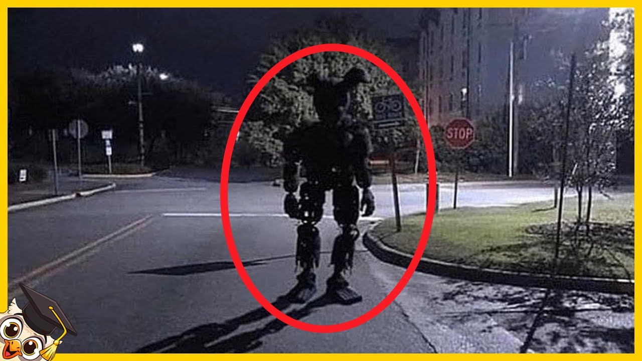 10 Criaturas Assustadoras Capturadas Na Câmera - Parte 2