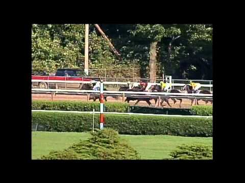 Passing Shot - 2003 Personal Ensign Handicap (G1)